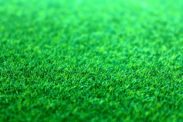 Green Grass