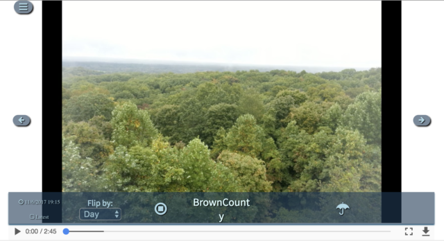 Brown County Leaf Cam