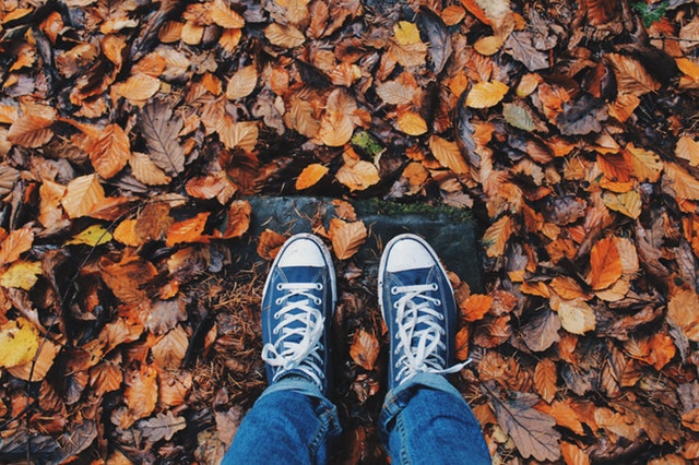 Leaves under my Feet